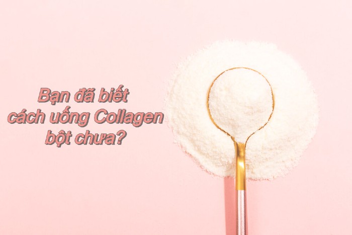 Cách uống collagen bột - 13 cách đạt chuẩn, dễ thực hiện