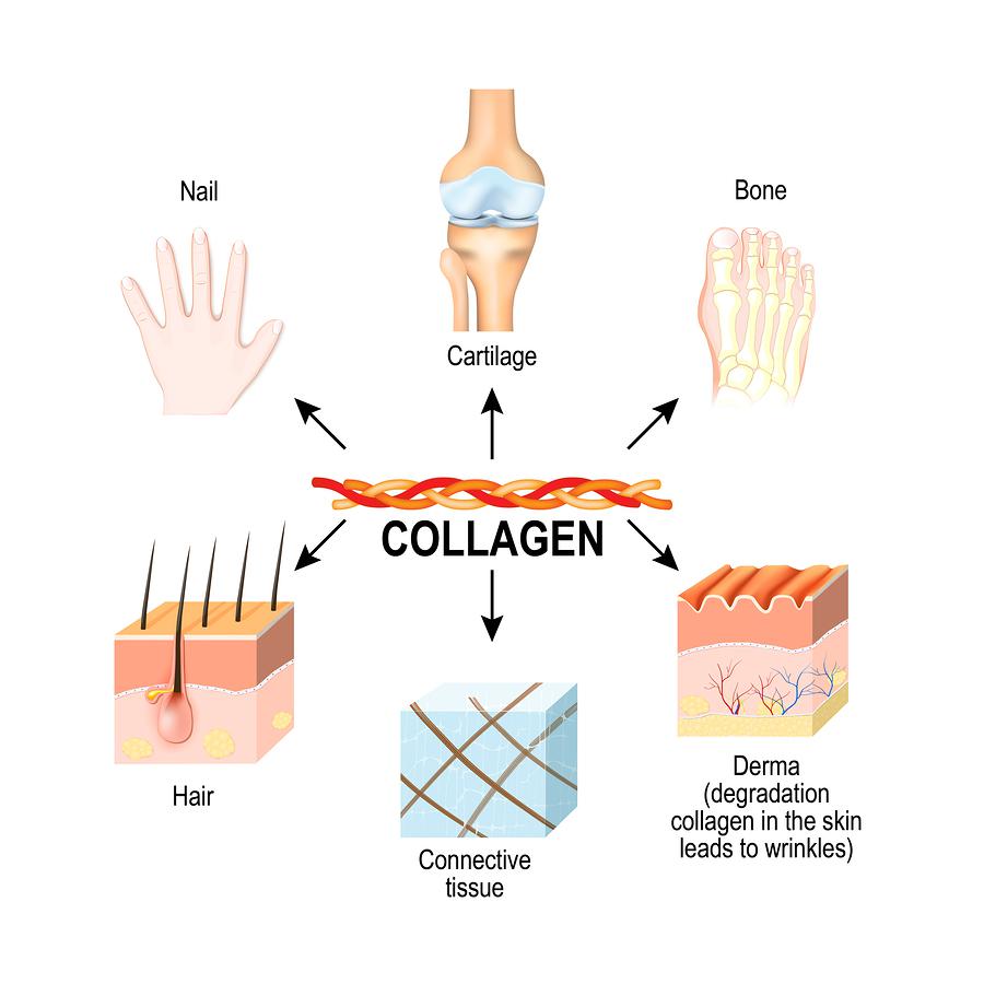 Collagen Mang lại sức khỏe cho xương, khớp, tóc và da