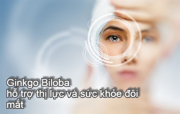 Ginkgo Biloba hỗ trợ thị lực và sức khỏe đôi mắt