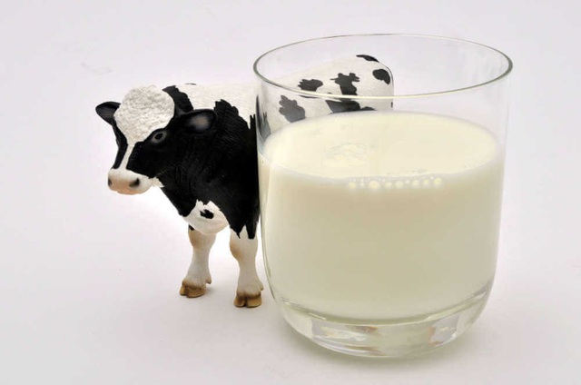 Sữa bò giúp tăng chiều cao ở tuổi dậy thì