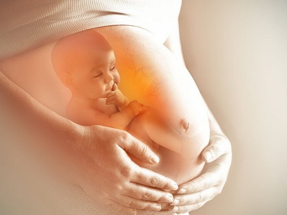 Elevit cung cấp hàm lượng vitamin và dưỡng chất cho thai nhi phát triển