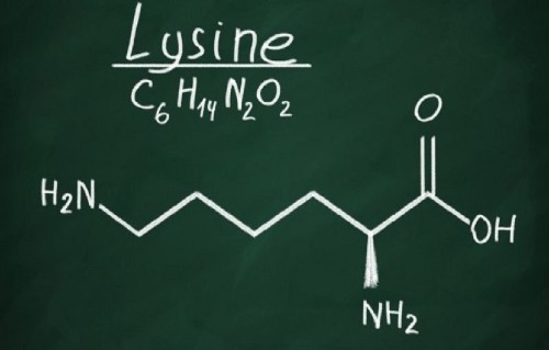 Lysine giúp tăng cường hấp thụ canxi, cải thiện chiều cao, đặc biệt là ở tuổi trẻ em
